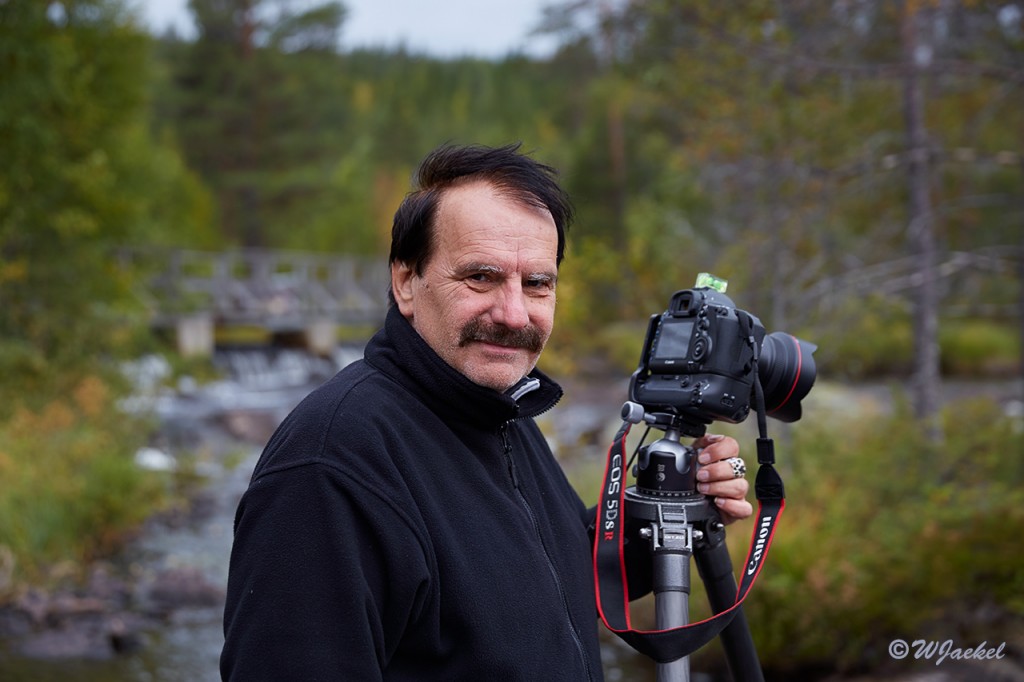 Nature photography in the Hamra Nationalpark, Sweden